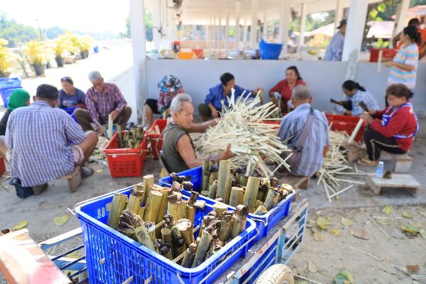 เผาข้าวหลามรวมน้ำใจ หารายได้เข้าวัดปากพิงตะวันตก สืบสานประเพณีลอยกระทง