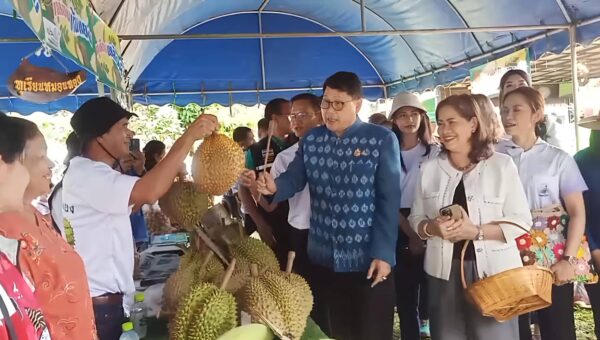 ผู้ว่าฯเปิดสวนยกระดับเกษตร–ท่องเที่ยว ชิมทุเรียนครีมมี่ที่บ้านแยง