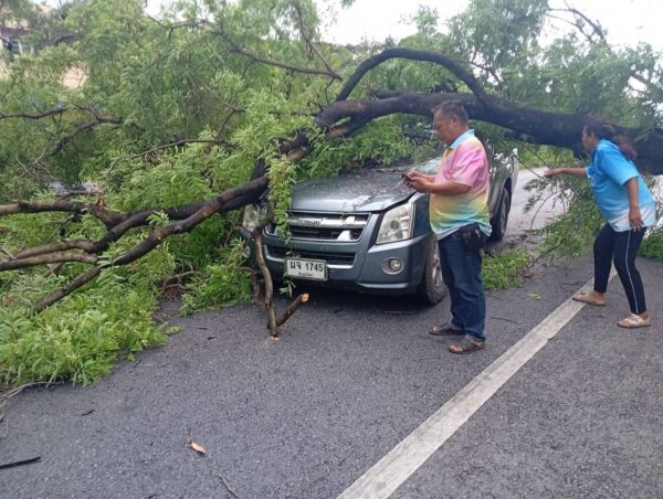 ลมพายุฝนกระหน่ำ ต้นไม้ล้มทับรถยนต์