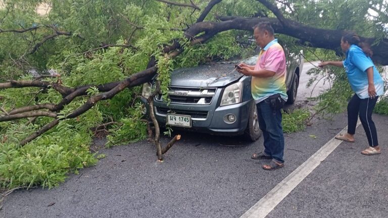 ลมพายุฝนกระหน่ำ ต้นไม้ล้มทับรถยนต์